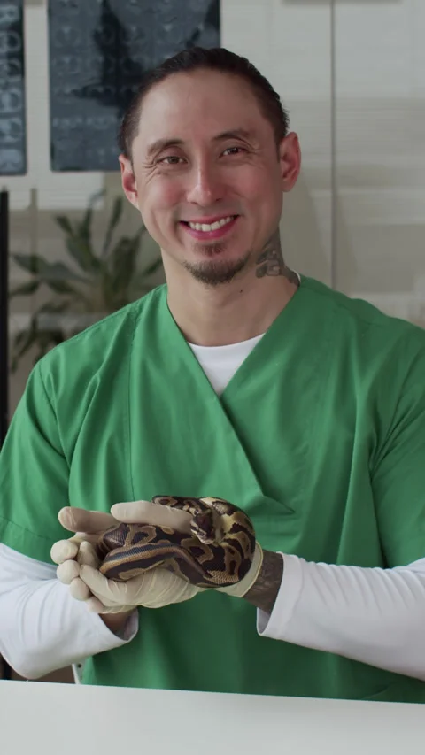 Tattooed Vet Examining Python, Vertical Portrait 스톡 동영상 304536566