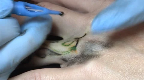 Tattooing close up Stock Footage 45327825