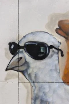  Taube Graffito einer Taube mit Sonnenbrille, Wand, Chiang Mai, Thailand, ... Stock Photos