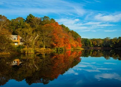 Taunton Foliage Stock Photos