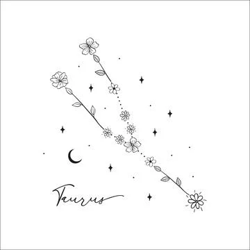 Taurus constellation with Hand drawn doodle flowers, leaves, florals, stars Stock Illustration