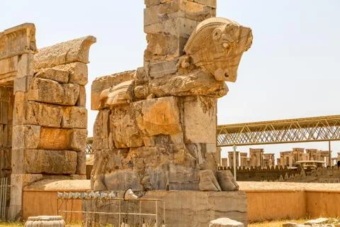 Taurus head Persepolis Stock Photos