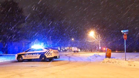 Taurus protecting scene during snowy night Stock Footage 101995189