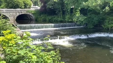 Tavistock Devon England Stock Footage 201005888