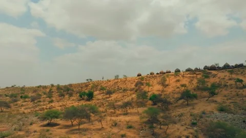Tawny eagle soaring over a traditional village in the Thar Desert Stock Footage 342483668