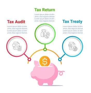 Tax optimization infographic chart design template Illustrazione stock
