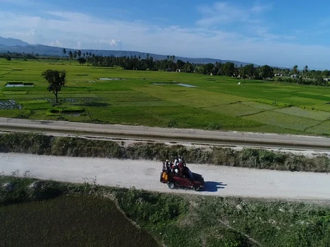 Taxi drives through vast fields of rice Video stock 85233781