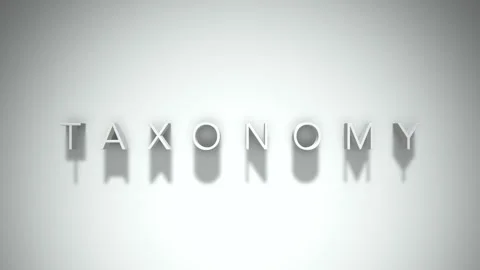 Taxonomy 3D title animation with shadows on a white background Stock Footage 296496749