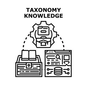 Taxonomy knowledge organizing information and data system Stock Illustration