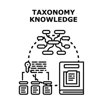 Taxonomy knowledge researching and information classification process Stock Illustration