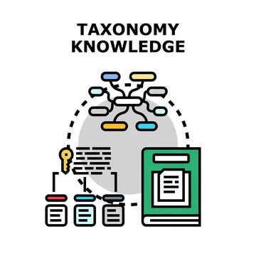 Taxonomy knowledge researching and information classification process Stock Illustration