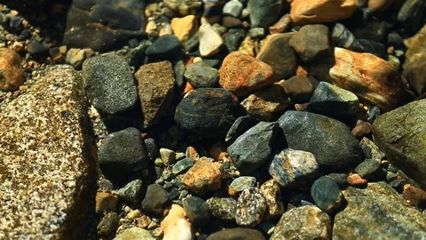 Taylor Creek River Bed Background through clear water Stock Footage 96986975