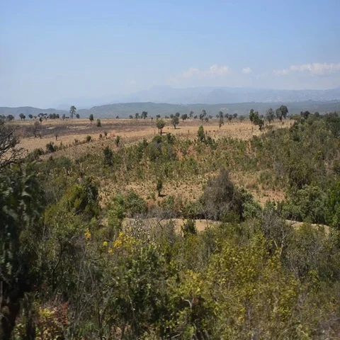 Tazara Railway Stock Footage 69519588