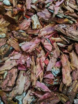 Tbackground slivers bark bright varied Stock Photos