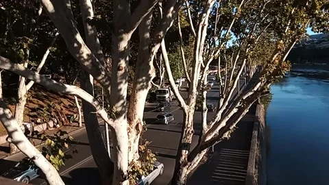 Tbilisi. Bare trees on the waterfront Stock Footage 225146682