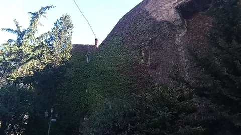 Tbilisi. Greenery on the rocks Stock Footage 225117230