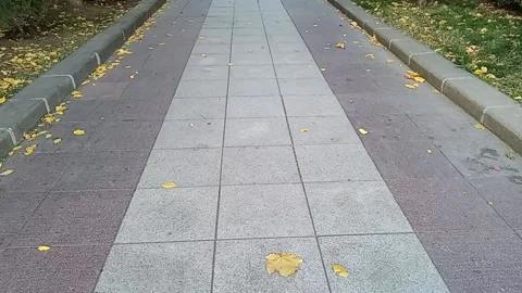 Tbilisi. Leaves on the sidewalk Stock Footage 225117912