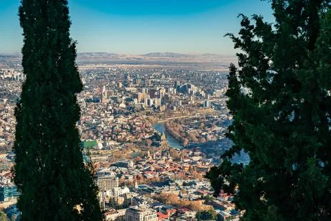 Tbilisi Overlook Between Trees Fotos Stock