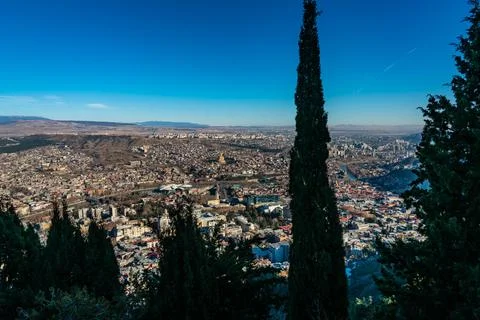 Tbilisi Overlook with Trees Photos