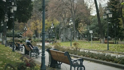 Tbilisi park Stock Footage 203890491
