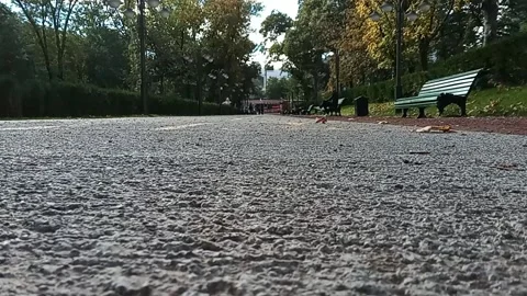 Tbilisi. Pavement in the park Stock Footage 225121872