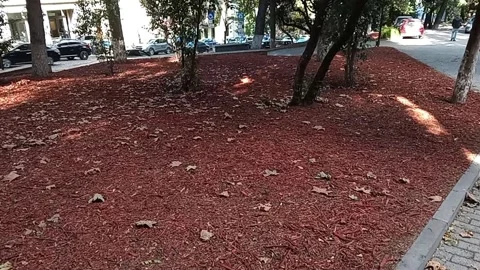 Tbilisi. Red earth in the park Stock Footage 225139027