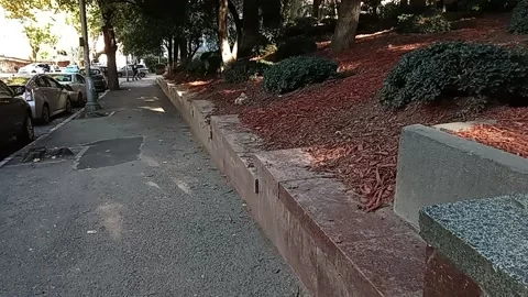 Tbilisi. Red leaves on the sidewalk Stock Footage 225139961