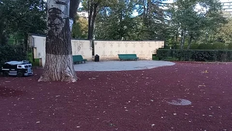 Tbilisi. Red rubble in the park Stock Footage 225121063