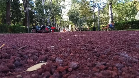 Tbilisi. Red rubble in the park Stock Footage 225122000