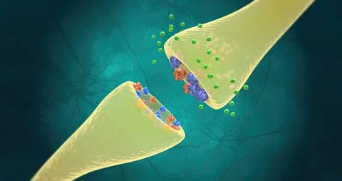 TCAs bind to SERT and NET transport proteins for serotonin and norepinephri.. Stock Illustration