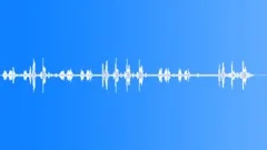 Tchagra Sound Effect