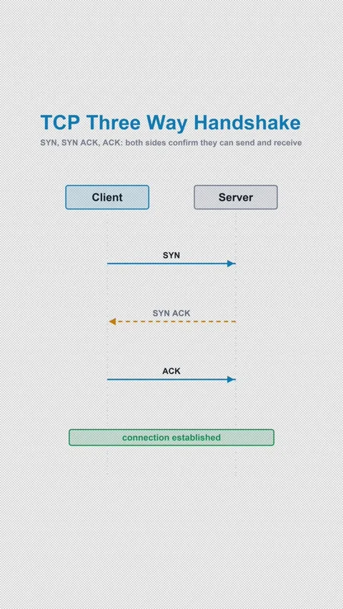 TCP Three Way Handshake Labeled Protocol Sequence Diagram 4K Vertical 9x16 Light Stockbeeldmateriaal 339519046