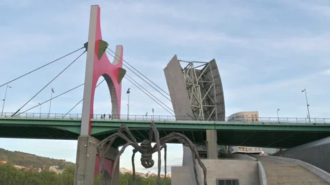 TCV 1445 V1-0010 Stock Footage 320520981