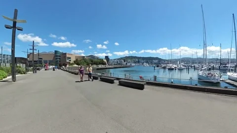 Te Papa Museum Stock Footage 229674204