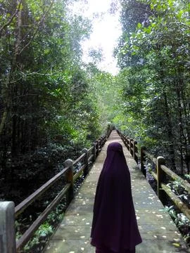 Te straight path Stock Photos