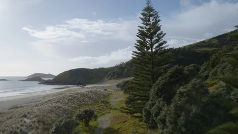 Te Whara Beach and Track (Drone) Stock Footage 86500500