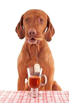 Tea and biscuit Stock Photos