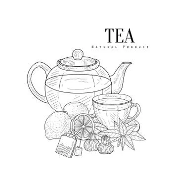 Tea And Its Components Hand Drawn Realistic Sketch Stock Illustration