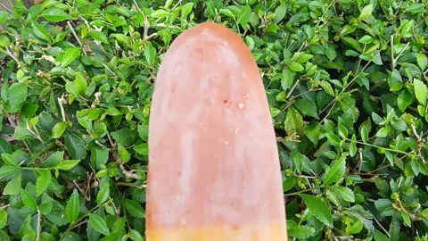 Tea and lemon flavored popsicles. Stock Footage 289231435