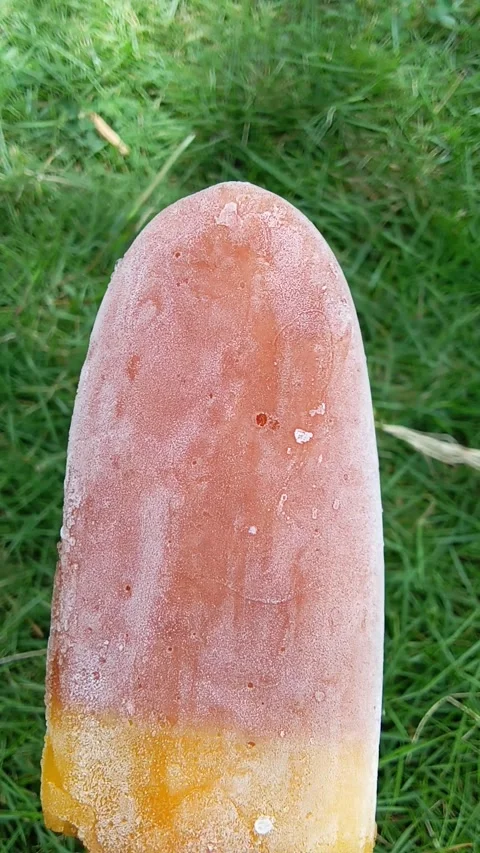 Tea and lemon flavored popsicles. Stock Footage 289231477