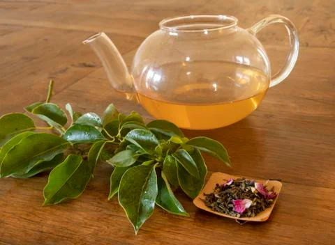 Tea and teapot Stock Photos