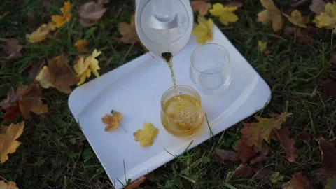 Tea in autumn on the grass Stock Footage 256546689
