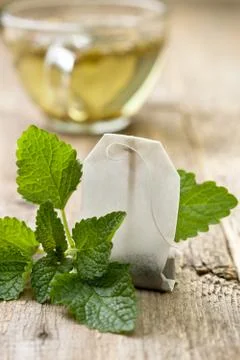 Tea bag with mint Stock Photos