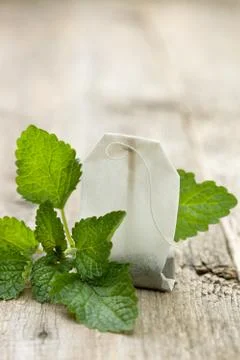 Tea bag with mint Stock Photos