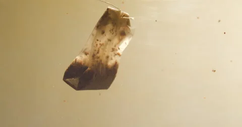Tea bag plunging in water slow-motion, studio close up Stock Footage 254133353