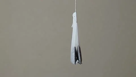 The tea bag is spinning on a string Stock Footage 151378417