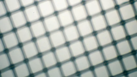 Tea bag under a microscope Stock Footage 83532273