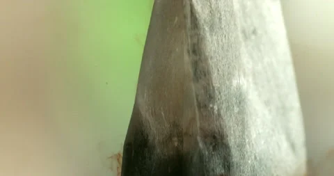 Tea Bag in Water 動画素材 157142642