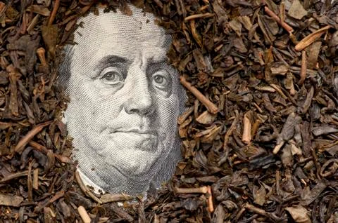 Tea on bank note Stock Photos