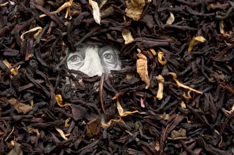 Tea on bank note Stock Photos